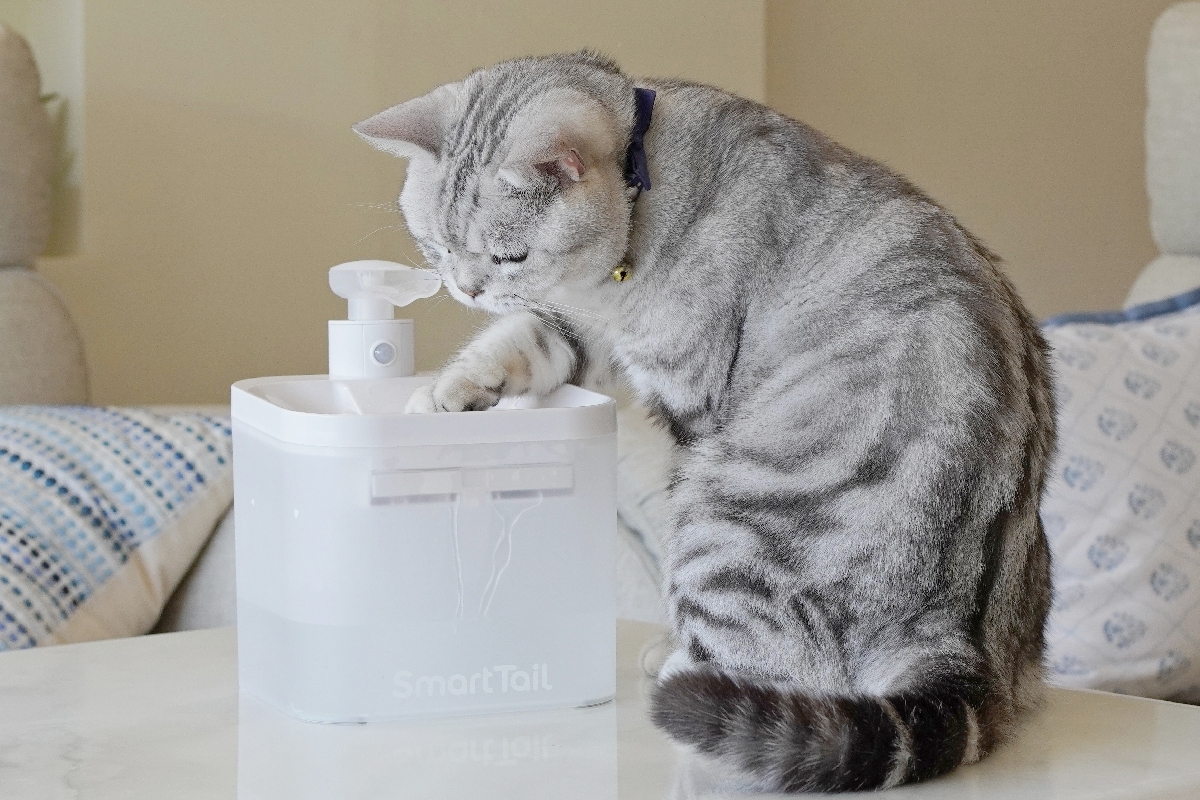 NiNiJA妮妮家【SmartTaiL智它】寵物智能無線飲水機S1：毛孩的飲水好幫手，無線更方便！