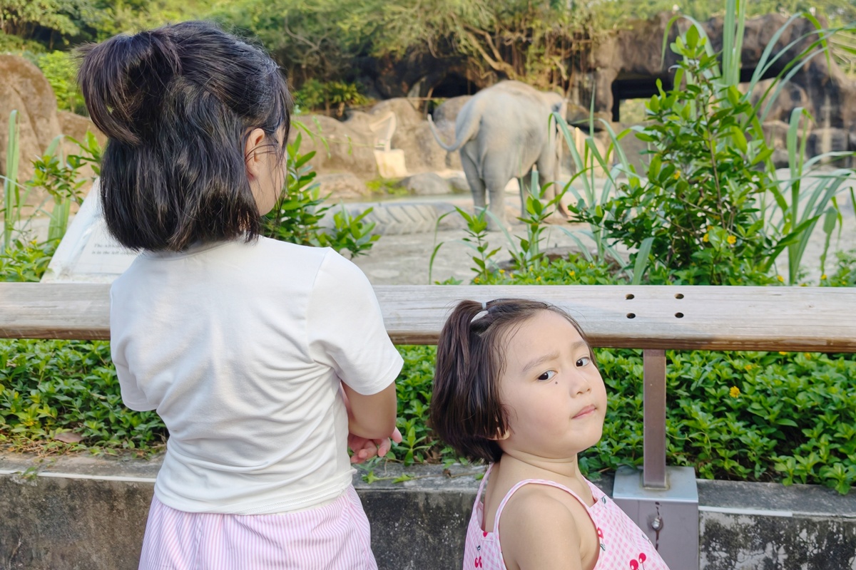 萬芳礦傳奇:酷暑救援夜間動物園與商圈探險攻略,7/7-8/8動物園夜間快閃/冰晶能量啟動卡/集章任務 - 第18張圖 萬芳礦傳奇:酷暑救援夜間動物園與商圈探險攻略,7/7-8/8動物園夜間快閃/冰晶能量啟動卡/集章任務